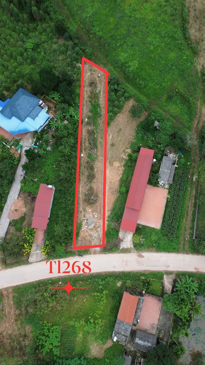 Đất nền Đồng Vương, Yên Thế, Bắc Giang 700m² giá 1 tỷ - Tiềm năng đầu tư lớn!