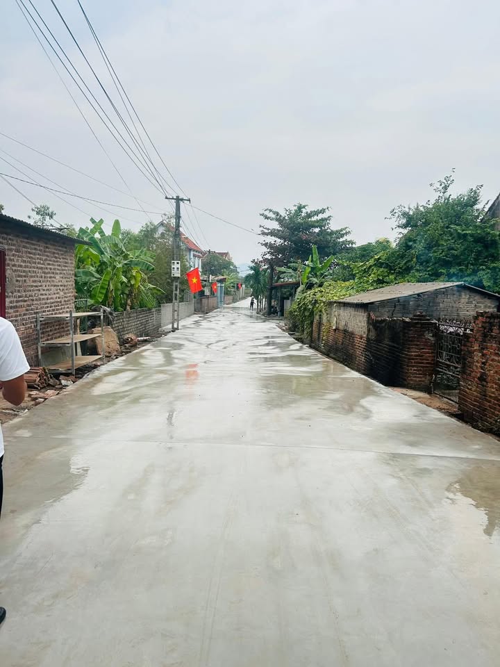 Đất nền liền kề Tân Mùi Tam Dị 250m² giá 1 tỷ - Cơ hội đầu tư hấp dẫn!