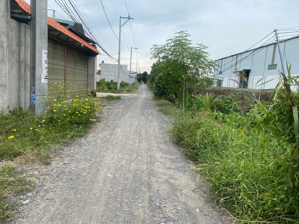 Đất thổ cư và đất vườn 630m² tại ấp 9, xã Lương Hoà - Giá 2.7 tỷ thương lượng!