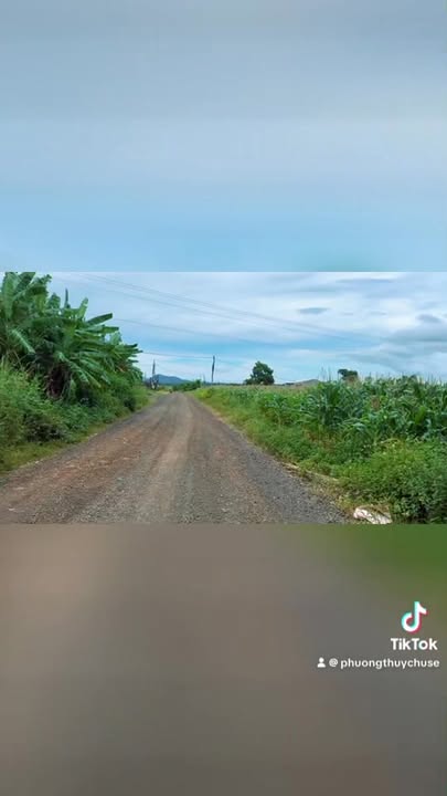 Đất nền 1,1 ha tại xã Ia Le, huyện Chư Pưh - Giá 750 triệu - Đất đẹp dễ làm!