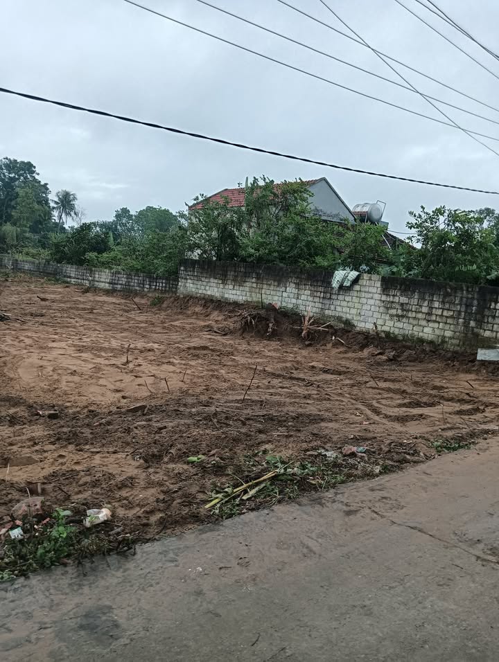 Đất thổ cư tại thôn Đại Long, xã Hoằng Thanh 100m² giá 500 triệu - Cơ hội đầu tư tuyệt vời!