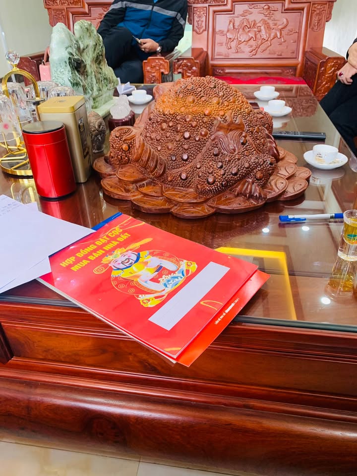 Đất nền Mỹ Độ Bắc Giang 90m² giá 3 tỷ - Cơ hội đầu tư hấp dẫn!