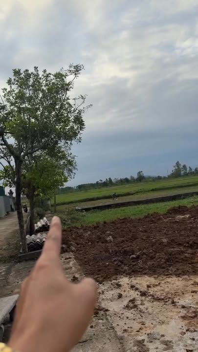 Đất Xóm 3 Diễn Quảng 264m² giá 1.9 tỷ - Nền đẹp, vuông vắn, sẵn sàng xây dựng!