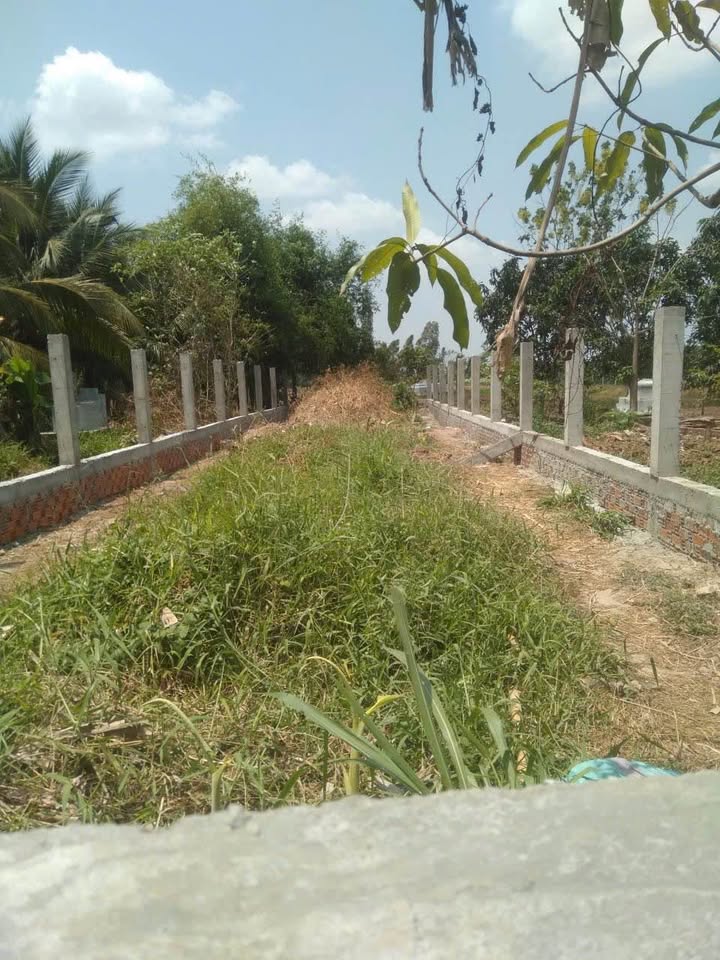 Đất nền Hội An, Chợ Mới, An Giang 493m² - Giá tốt, thương lượng ngay!