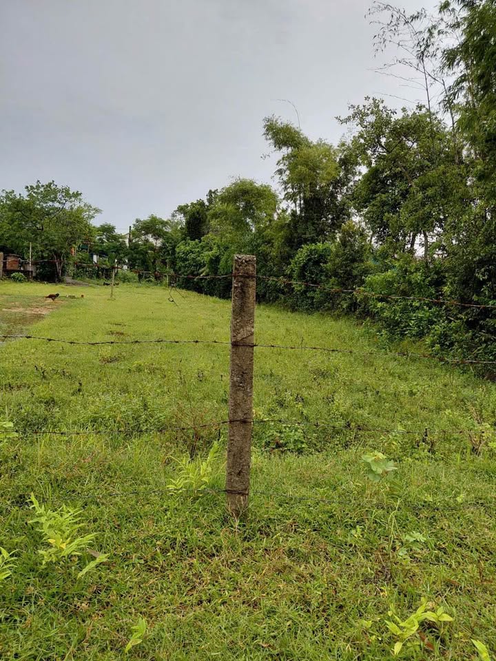 Lô đất Lộc Hà 158m² giá 800 triệu - Đầu tư sinh lời lý tưởng!