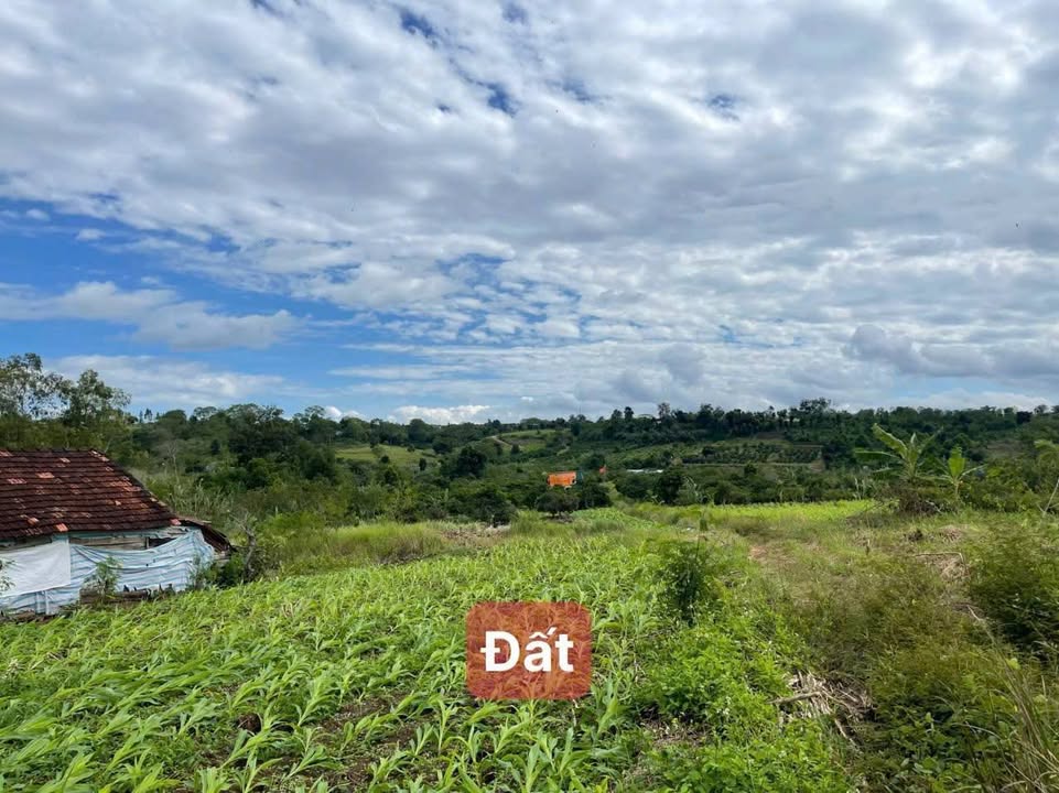 Đất nền Ea Drông - Buôn Hồ 10,000m² giá chỉ 1.69 tỷ - Đầu tư sinh lời ngay!