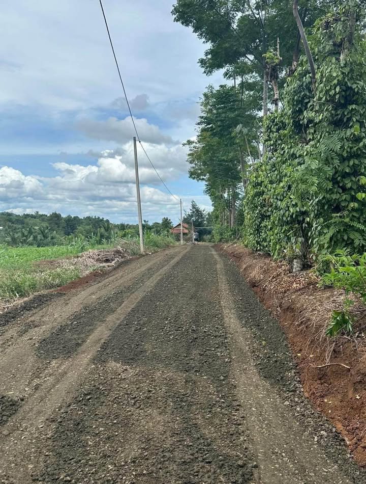 Đất nền Cư Êbur Buôn Ma Thuột 600m² chỉ 600 triệu - Đầu tư sinh lời ngay!