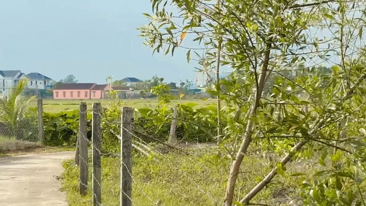 Đất nền Phú Sơn Tân Kỳ 200m² giá 550 triệu - Cơ hội đầu tư hấp dẫn!