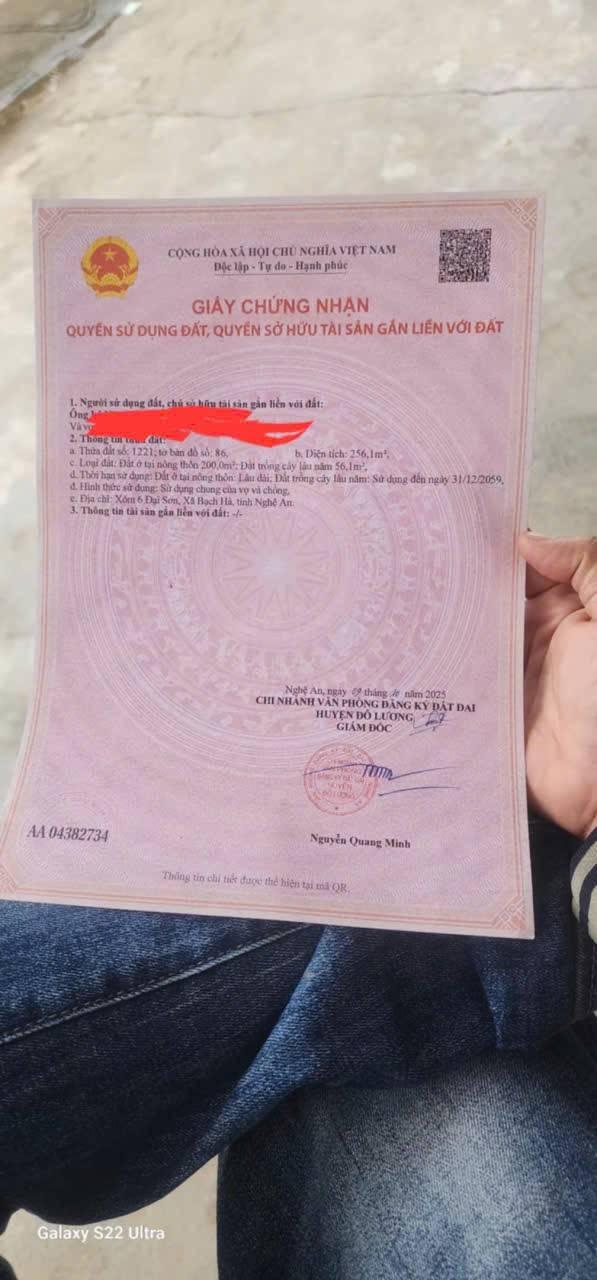 Đất lô góc 256m² tại Đại Sơn - Giá chỉ 800 triệu, cơ hội đầu tư tuyệt vời!