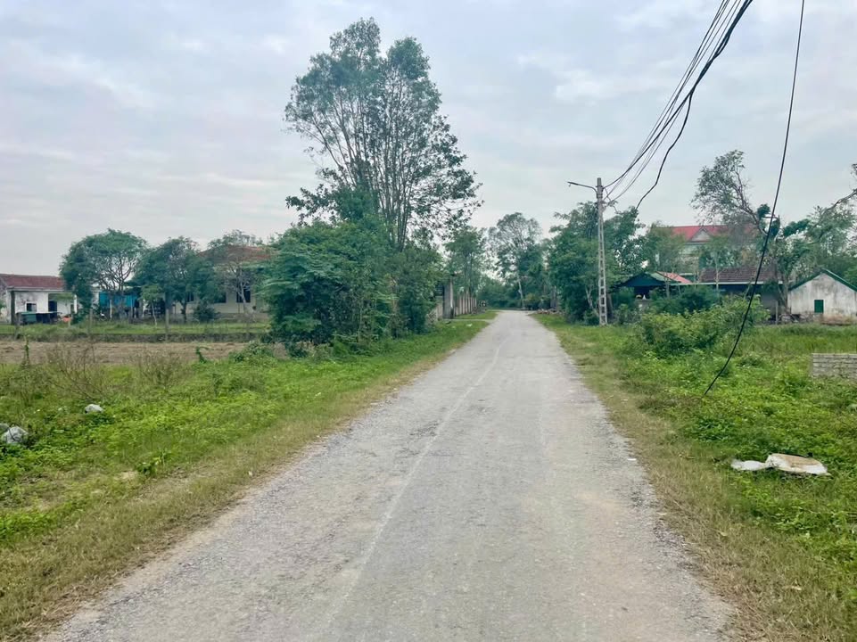 Đất nền Nghi Thái, Nghi Lộc 91,6m² giá 1,98 tỷ - Cơ hội vàng cho nhà đầu tư!