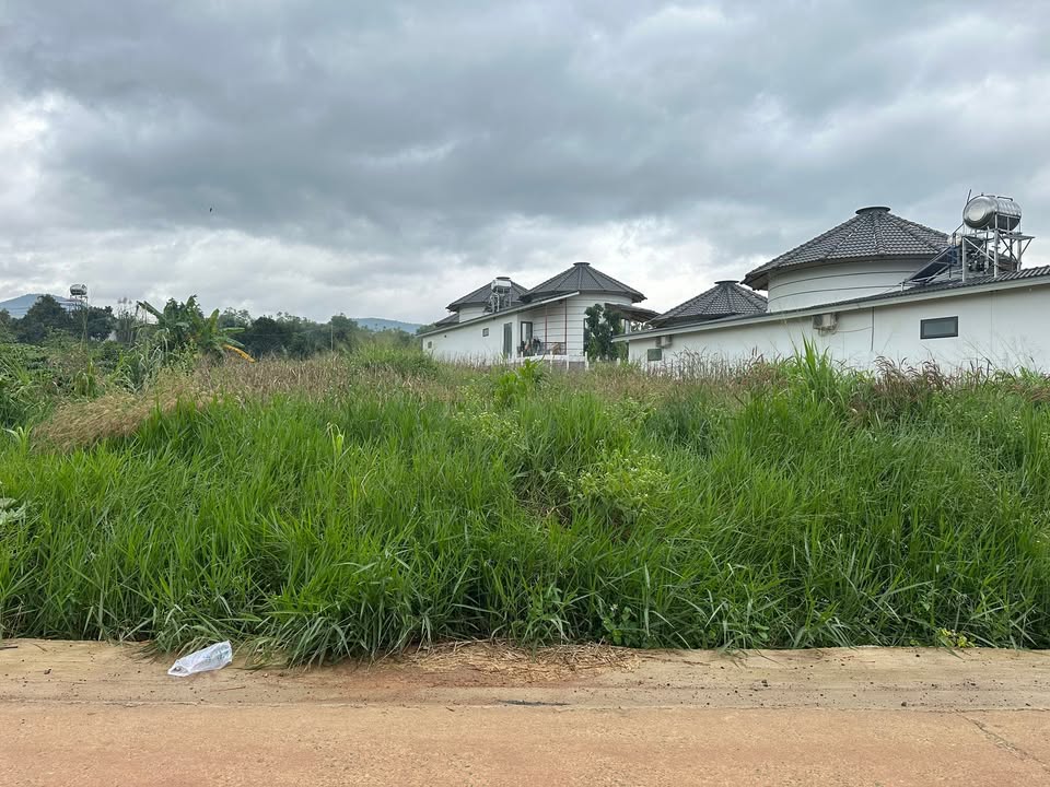 Đất thổ cư 100m² tại Nam Ban, Lâm Hà chỉ 1.85 tỷ - Mặt tiền đẹp, pháp lý rõ ràng!