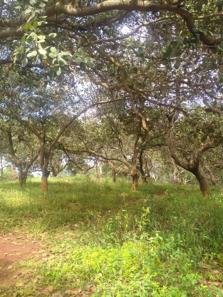 Đất nền 1000m² tại thôn 12, xã Thống Nhất, 3.25 tỷ - Cơ hội đầu tư hấp dẫn!