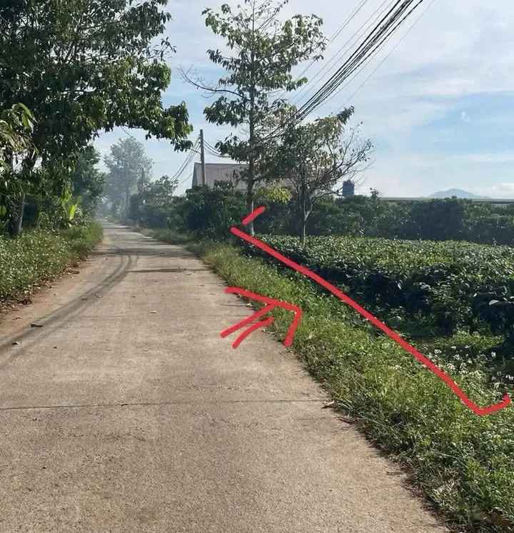 Đất nền thổ cư mặt tiền đường Quang Trung 1000m² giá 2.7 tỷ - Pháp lý rõ ràng!