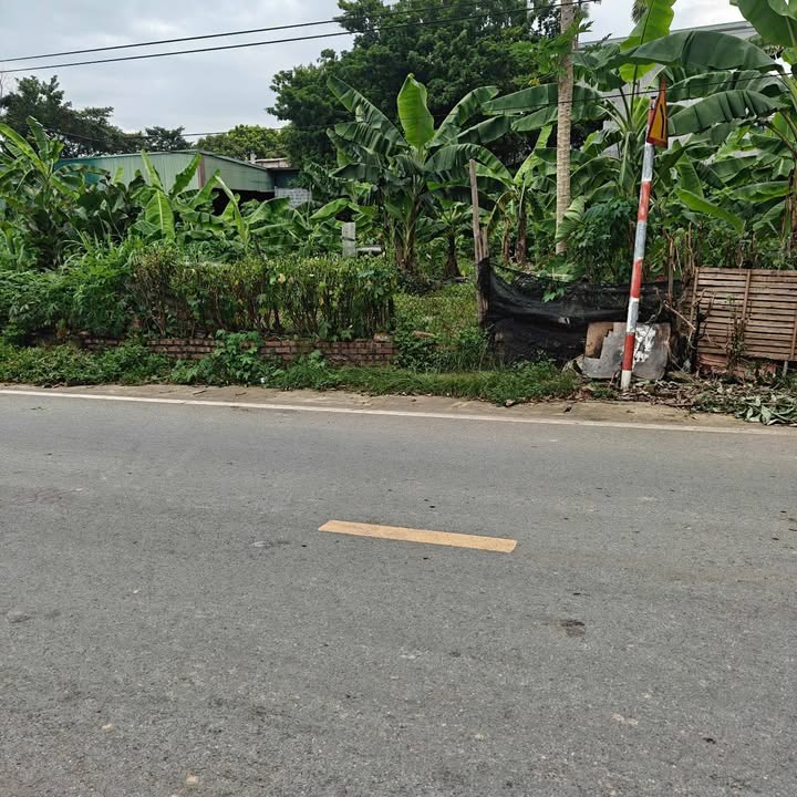 Đất mặt đường lớn tại phường Xuân Khanh, 82m² - Đầu tư sinh lời ngay!