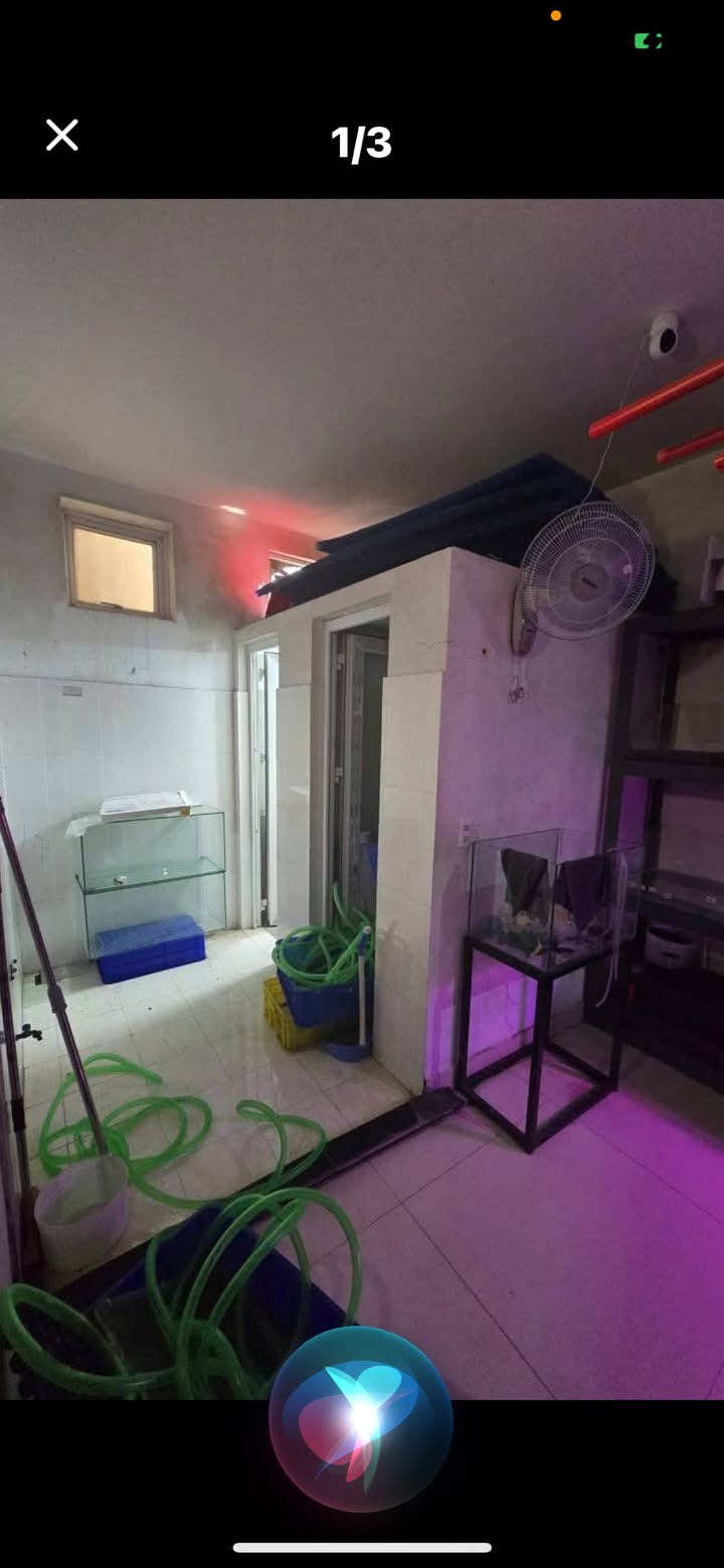 Cho thuê mặt bằng tầng 1 tại phường Lê Thanh Nghị, 124m² - Vị trí đắc địa giữa trung tâm Hải Dương!