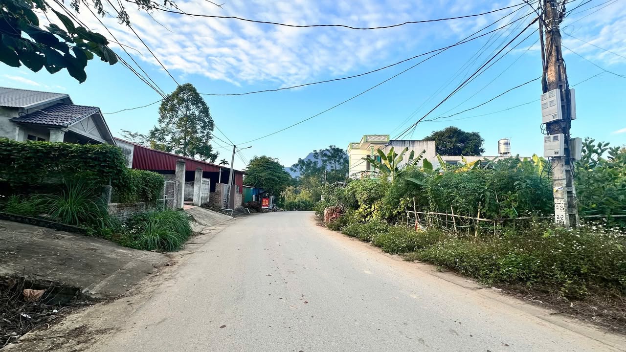 Đất nền Tân Phú, Tân Sơn, Phú Thọ 234m² - Giá thỏa thuận cực tốt!