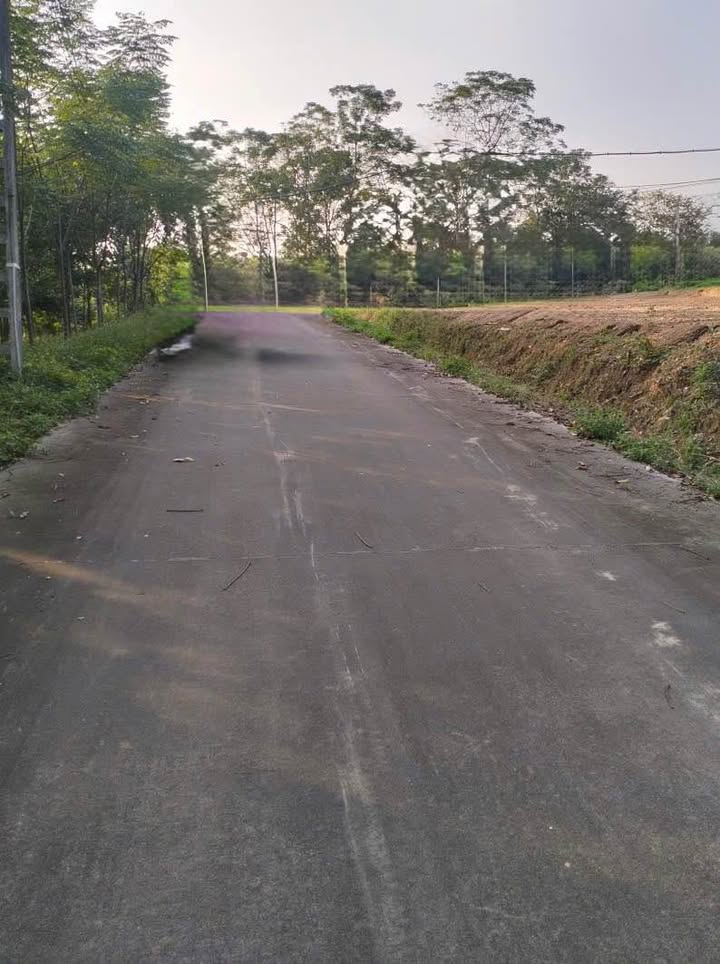 Đất nền Phú Lộc Phù Ninh 300m² giá 600 triệu - Sổ đỏ chính chủ