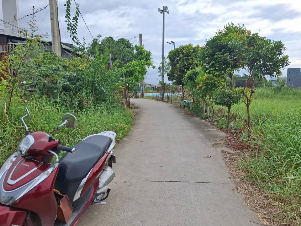 Đất thổ cư 150m² tại Đức Hòa - Giá chỉ 1.3 tỷ, chủ cần bán gấp!