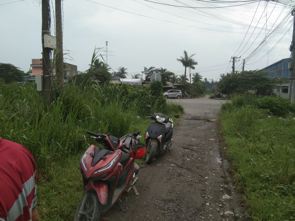 Đất nền KCN Phong Nẫm, Giồng Trôm 2170m² giá 8.5 tỷ - Pháp lý rõ ràng!