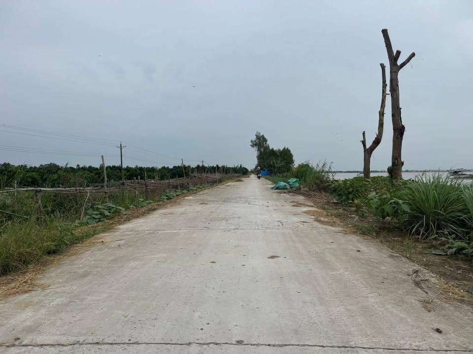 Đất Ruộng Mặt Tiền Lộ Đan Lộc Xã Tân Quới, Vĩnh Long 4000m² - Đầu Tư Lâu Dài!