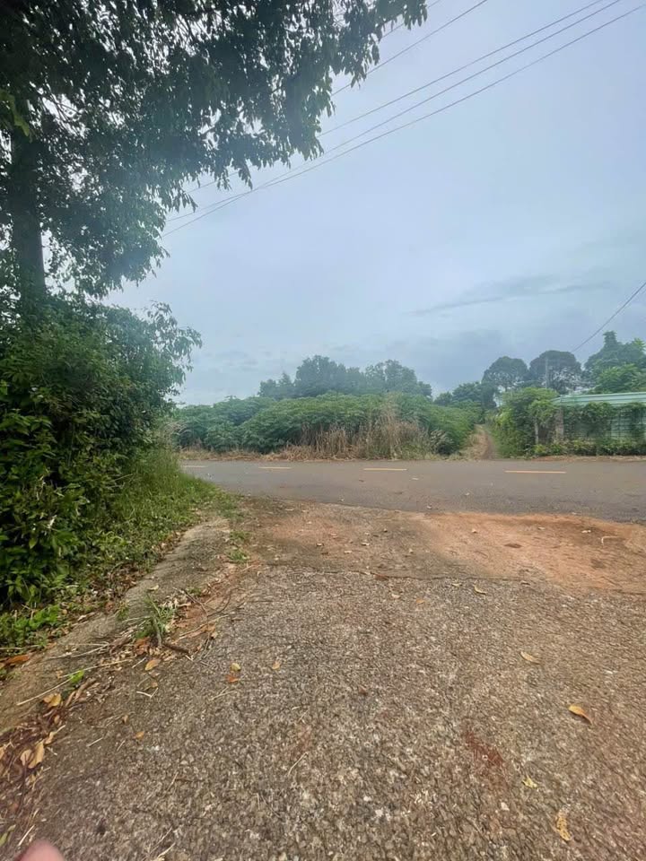 Đất nền Long Tân 195m² giá 690 triệu - Sổ hồng chính chủ, bớt lộc!