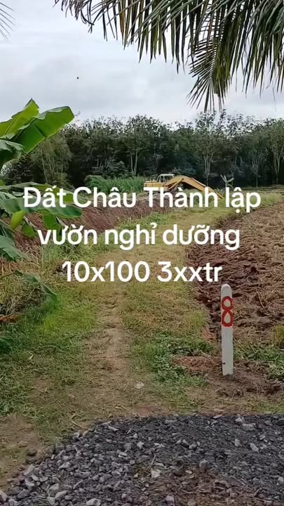 Đất thổ cư 1000m² tại Thái Bình, Châu Thành giá 300 triệu - Phù hợp lập vườn nghỉ dưỡng!