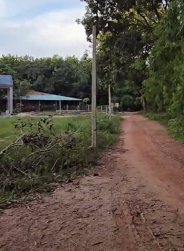 Đất nền 160m² Tân Phong, Tân Biên, Tây Ninh chỉ 220 triệu - Cơ hội đầu tư không thể bỏ lỡ!