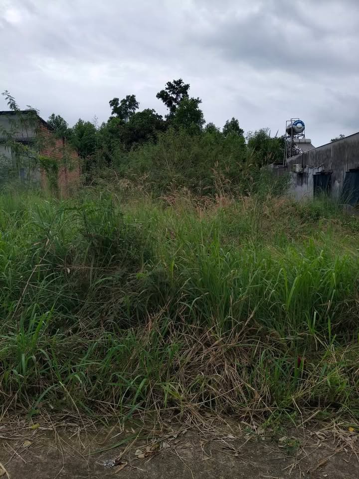 Đất thổ cư Phước Tân 155m² chỉ 800 triệu - Gần trường học, vị trí đẹp!