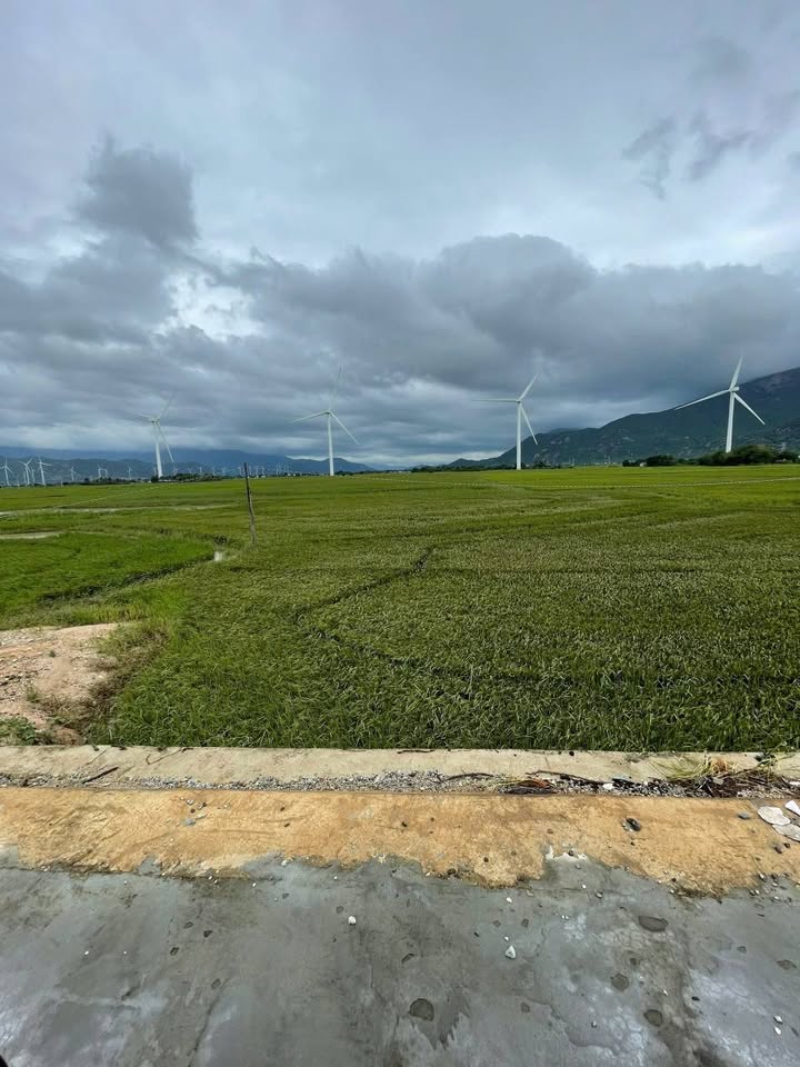 Đất Ninh Hải 2.646m² giá 1.05 tỷ - Tiềm năng phát triển du lịch