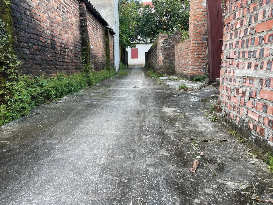 Đất phân lô Xuân Giang 220m² giá thỏa thuận - Cơ hội đầu tư hấp dẫn!