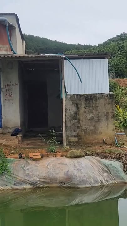 Đất nông nghiệp Đạ Đờn 15.000m² giá 4.32 tỷ - Đầu tư sinh lời ngay!