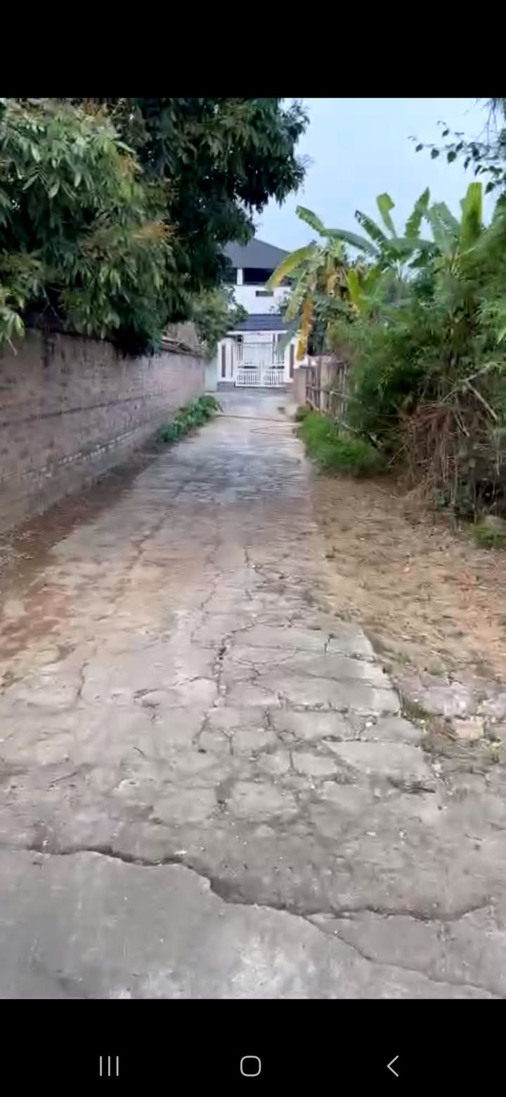 Đất nền Thanh Miếu, Việt Trì 100m² giá 1 tỷ - Giao thông thuận tiện!