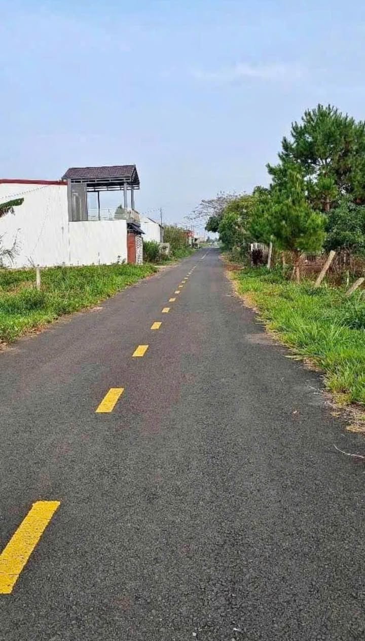 Đất thổ cư 125m² mặt tiền 75 Trần Tế Xương, Bảo Lộc - Giá chỉ 999 triệu!