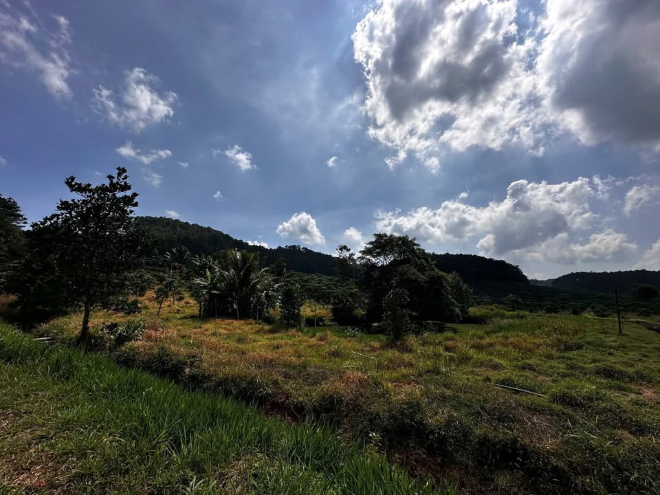 Đất thổ cư 225m² xã B'Lá, Bảo Lâm, Lâm Đồng giá 1.575 tỷ - Đầu tư sinh lời ngay!