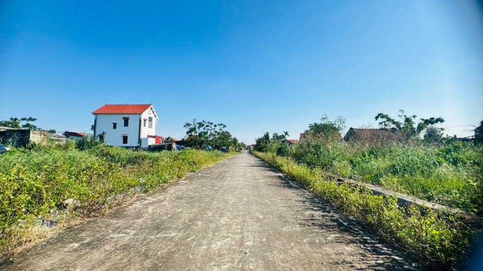 Lô đất Kim Trung 200m² giá thỏa thuận - Đường lớn, vị trí đẹp!