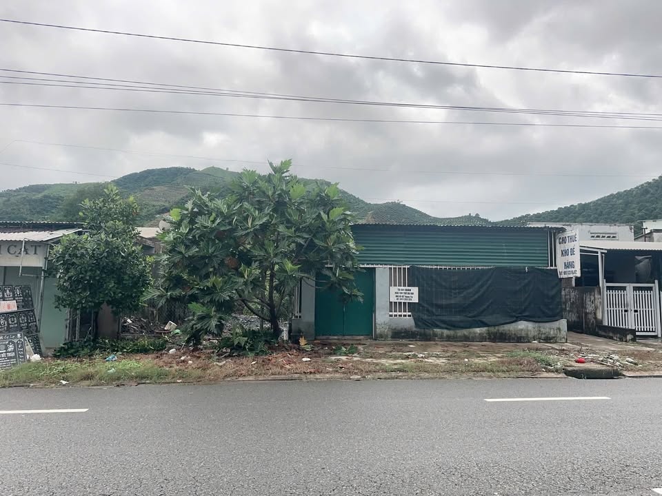 Đất mặt tiền Quốc lộ 1A Suối Hiệp 310m² giá 3 tỷ - Đầu tư sinh lời bền vững!