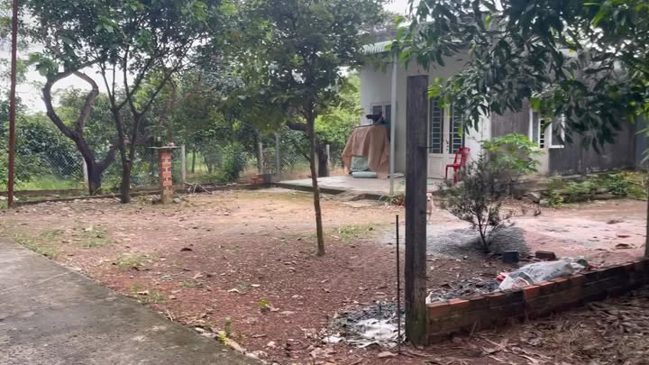 Đất nền 1000m² tại Xuân Lộc Đồng Nai - Sổ hồng riêng, giá 600 triệu!