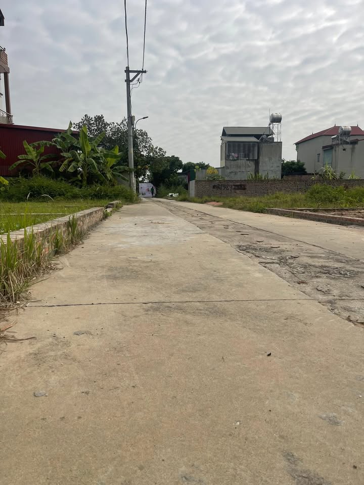 Đất nền Quang Minh Mê Linh 60m² - Giá đầu tư hấp dẫn, gần công viên!