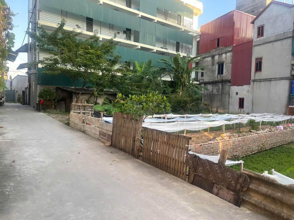 Đất nền Đại Đồng Tiên Du 113.6m² giá 2 tỷ - Đầu tư tiềm năng ngay khu dân cư sầm uất!