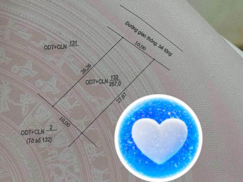 Đất nền chính chủ tại Bắc Lý, Đồng Hới 270m² - Tiềm năng đầu tư lớn!