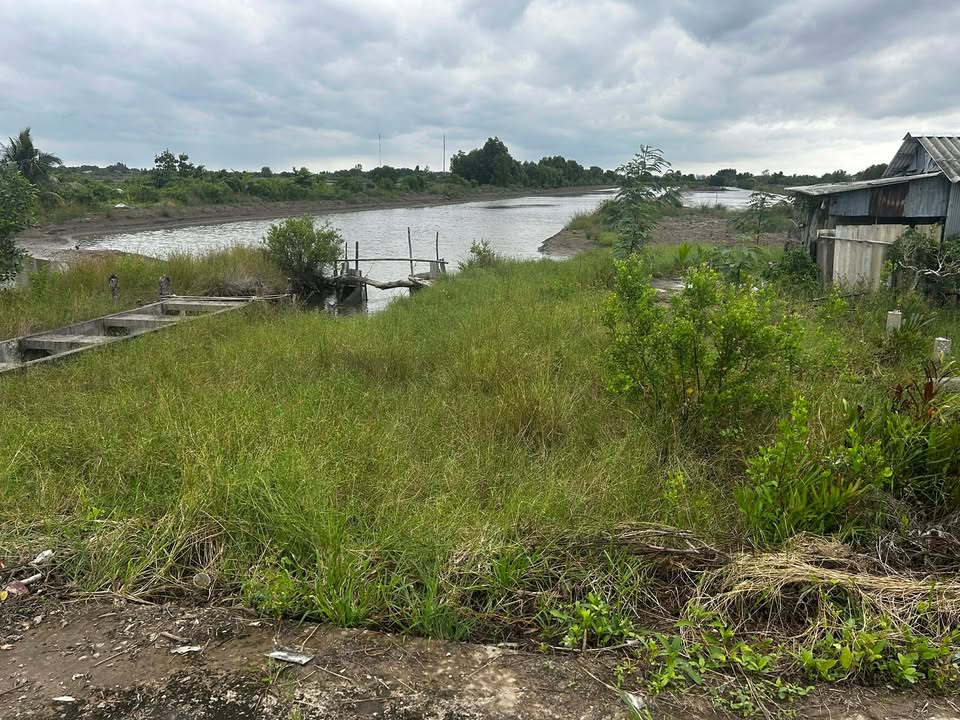 Đất nền Ấp Chống Mỹ B, xã Hàm Rồng, 49,000m² giá 2.415 tỷ - Mặt tiền đẹp, đầu tư sinh lời!