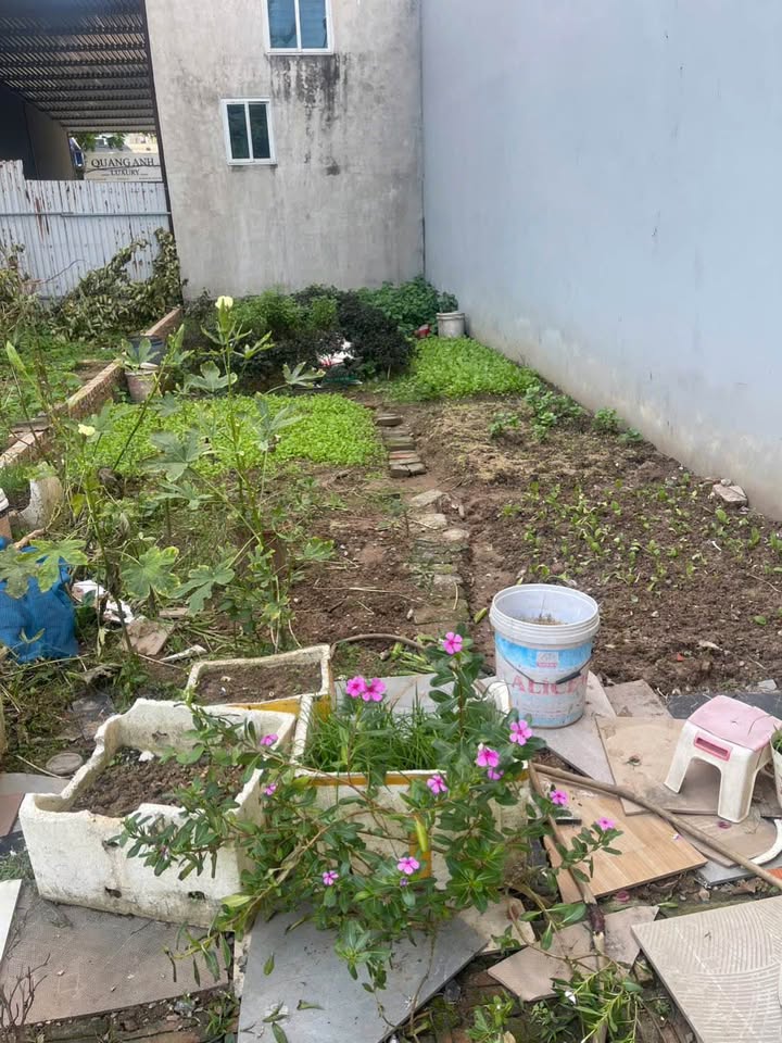 Đất Dương Nội 50m² giá 12 tỷ - Đầu tư lý tưởng, vị trí đắc địa!