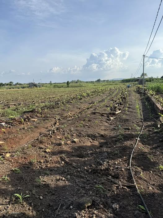 Đất nghỉ dưỡng 1200m² tại xã Gia Tân 3, giá 780 triệu - Mặt tiền 17m, vị trí lý tưởng!