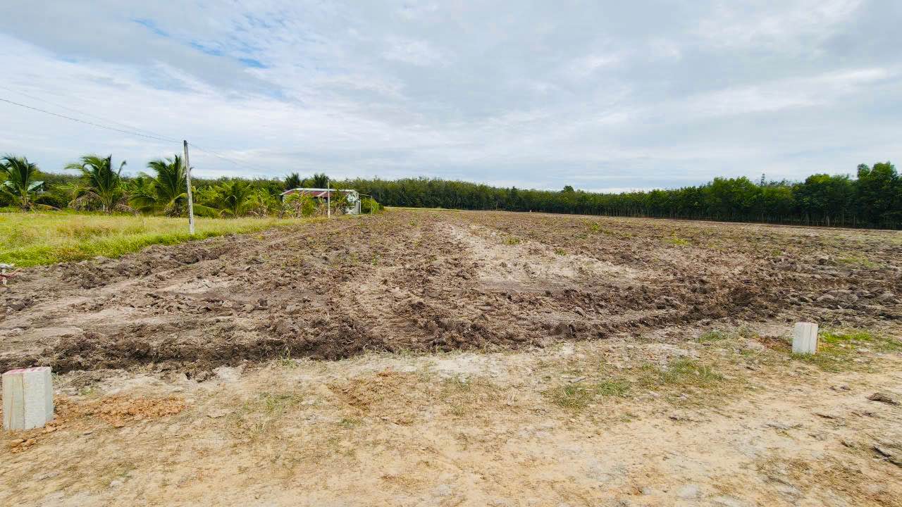 Đất vườn 1015m² tại Thành Long, Châu Thành, Tây Ninh - Giá chỉ 199 triệu - Cơ hội đầu tư tuyệt vời!