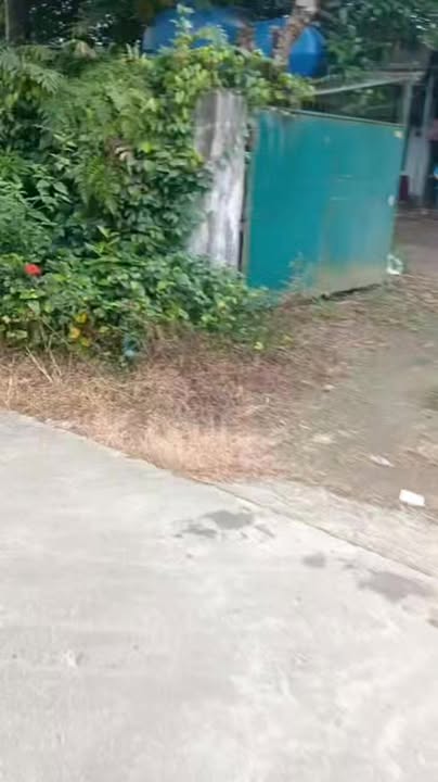 Đất vườn 2000m² tại Phú Thịnh, Tân Phú, Đồng Nai - Giá chỉ 576 triệu đồng!