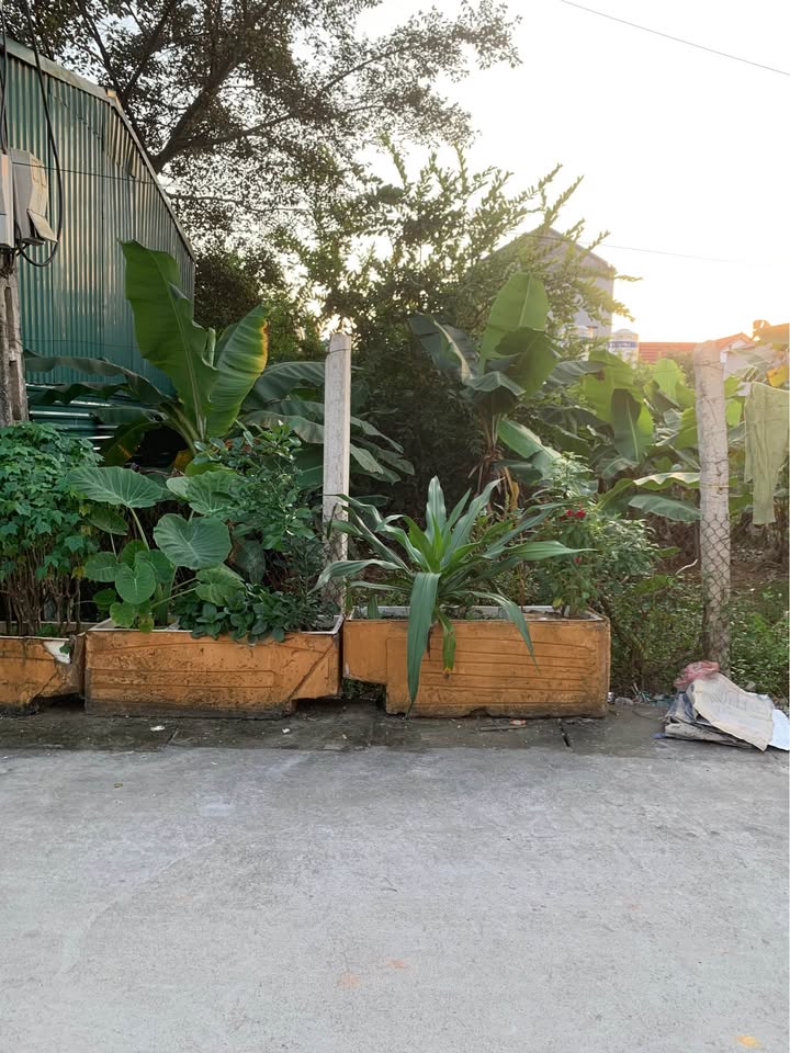 Đất Bảo Yên - Thanh Thủy 175m² giá chỉ 1 tỷ - Cơ hội đầu tư hấp dẫn!