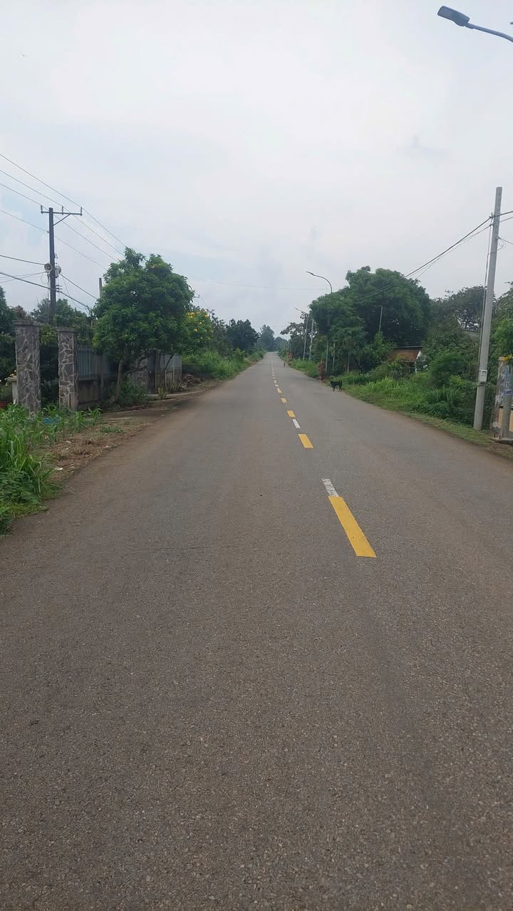 Đất chính chủ 195m² tại Châu Đức - Giá 1.15 tỷ, cơ hội đầu tư hấp dẫn!