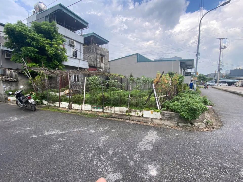Đất nền đẹp tại Cẩm Bình, Cẩm Phả 79m² giá 1.9 tỷ - Cơ hội đầu tư hấp dẫn!