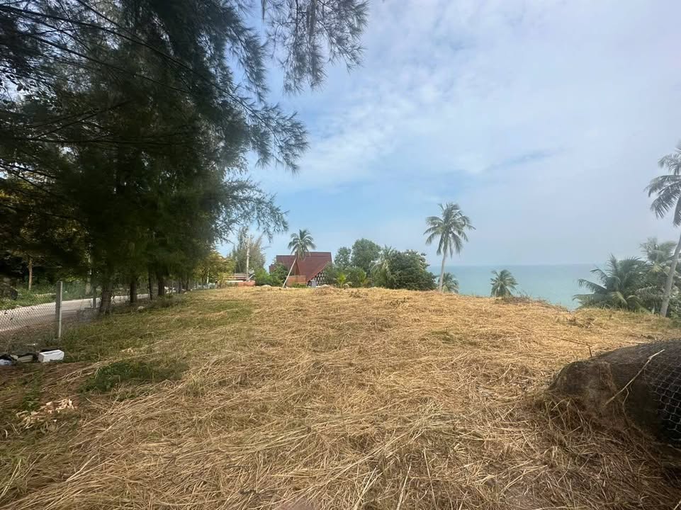 Đất thổ cư ấp Bãi Nhà A, Lại Sơn 1000m² giá 7.2 tỷ - Đầu tư sinh lời lý tưởng!