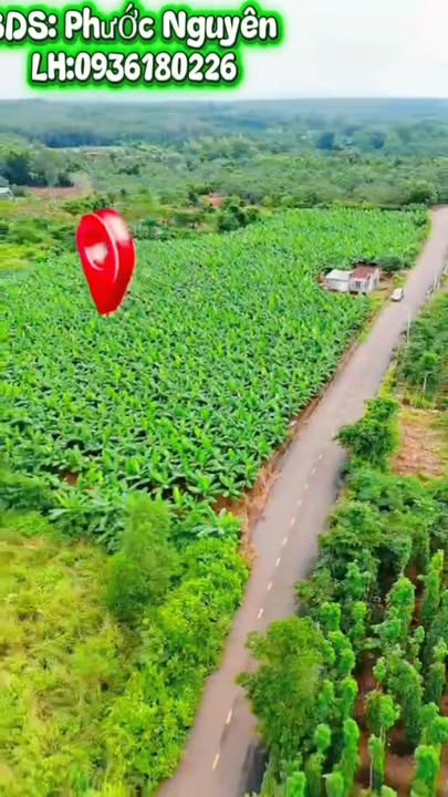 Lô đất đẹp Bàu Lâm, Bà Rịa - Vũng Tàu 16.600m² giá 10 tỷ - Tiềm năng phát triển cao!